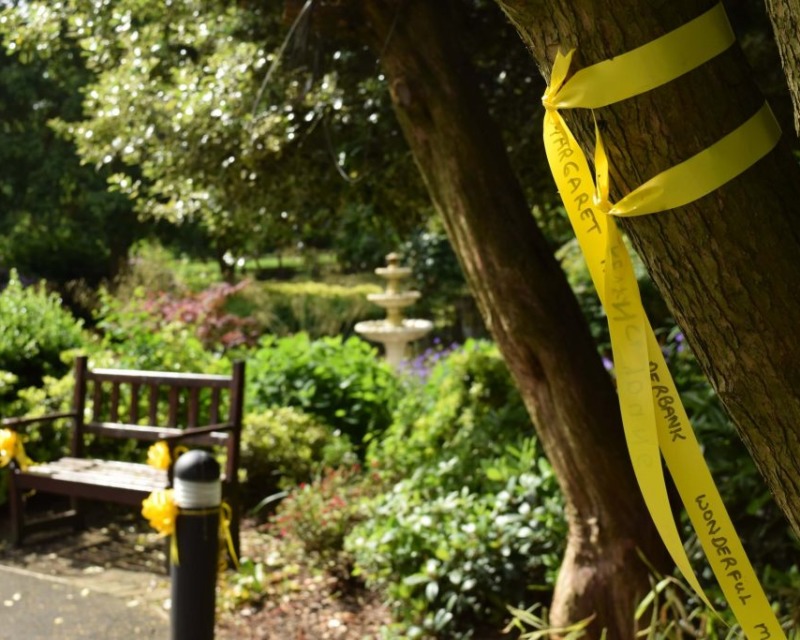 Photograph of yellow ribbon on tree