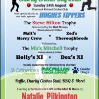 Charity Cricket Day