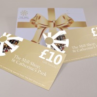 Shops' gift voucher - £10