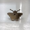 St Catherine's Butterfly Pin Badge