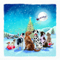 Dogs under a christmas tree