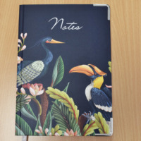 St Catherine's Notebook - Birds