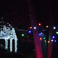 Light Up a Life dedication evening – Monday 2nd December 2024