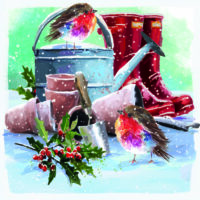 Robins in the Garden Christmas Cards