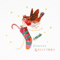 Robin Friends & Stockin' Robin Christmas Cards Twin Pack