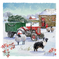 Snow on the farm & Farmyard friends Christmas Cards Twin Pack